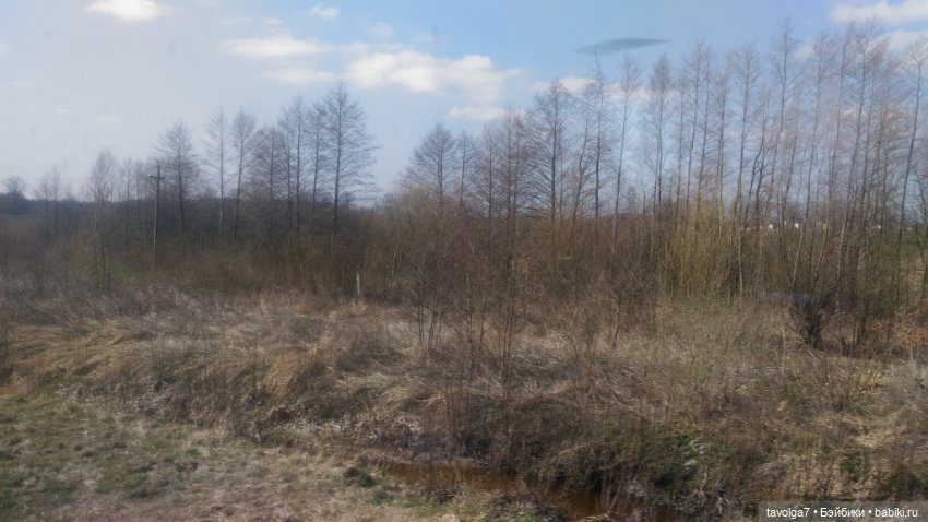 Куршская коса 2019 — Туризм и путешествия: фотоотчеты из поездок (фото 2)