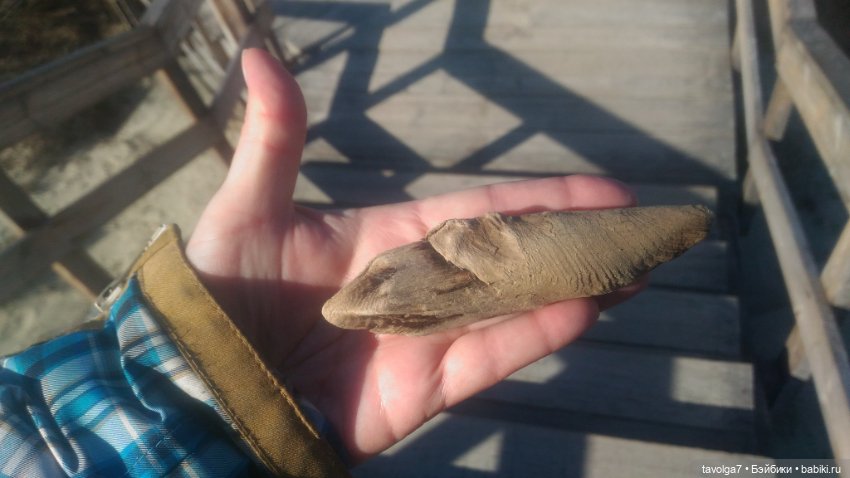 Куршская коса 2019 — Туризм и путешествия: фотоотчеты из поездок