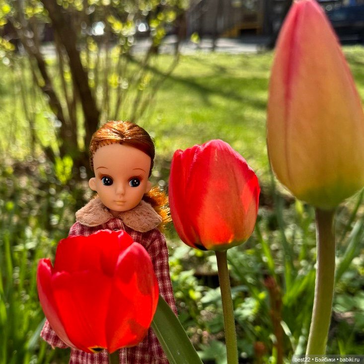 Ликка — Игровые куклы разных производителей (Разное): редкие бренды (фото 4)