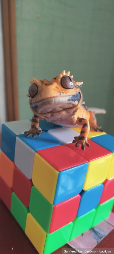 Гошка — Коллекционные экшн (фото 8)