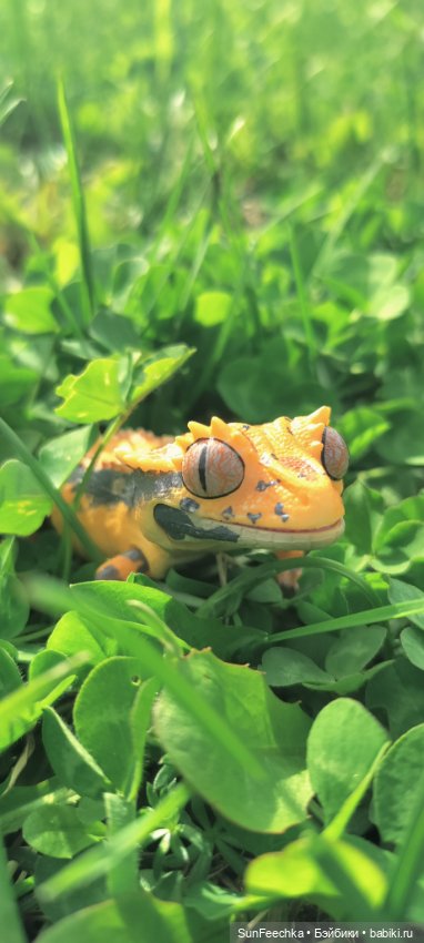 Гошка — Коллекционные экшн