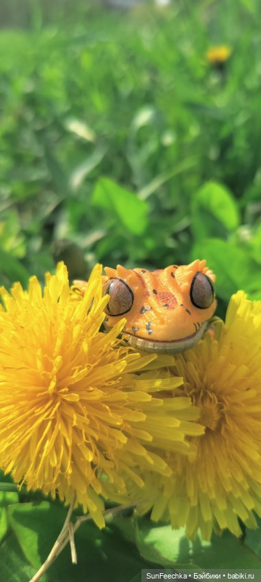 Гошка — Коллекционные экшн (фото 10)