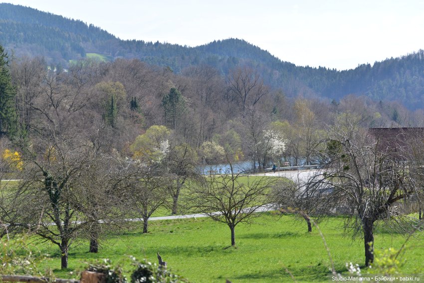 Платье Алисы для куколки Шильдкрет
