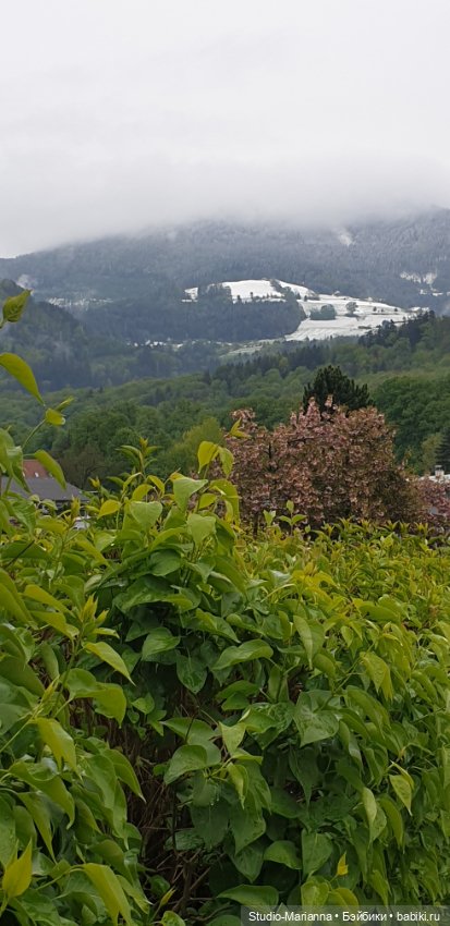 Платье Алисы для куколки Шильдкрет