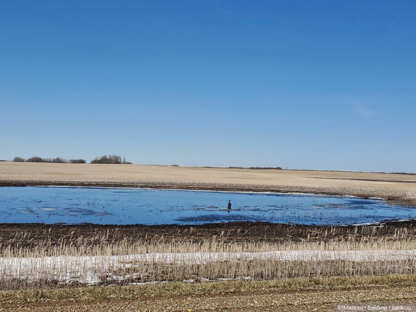 Дочка фермеров — Куклы Sasha Morgenthaler (Саша Моргенталер): Trendon