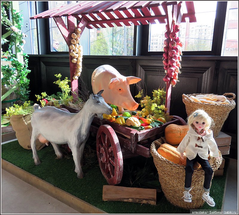 Москва глазами Мирославы. Метро Новые Черёмушки