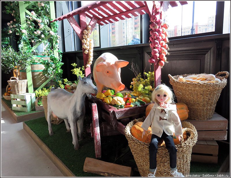 Москва глазами Мирославы. Метро Новые Черёмушки