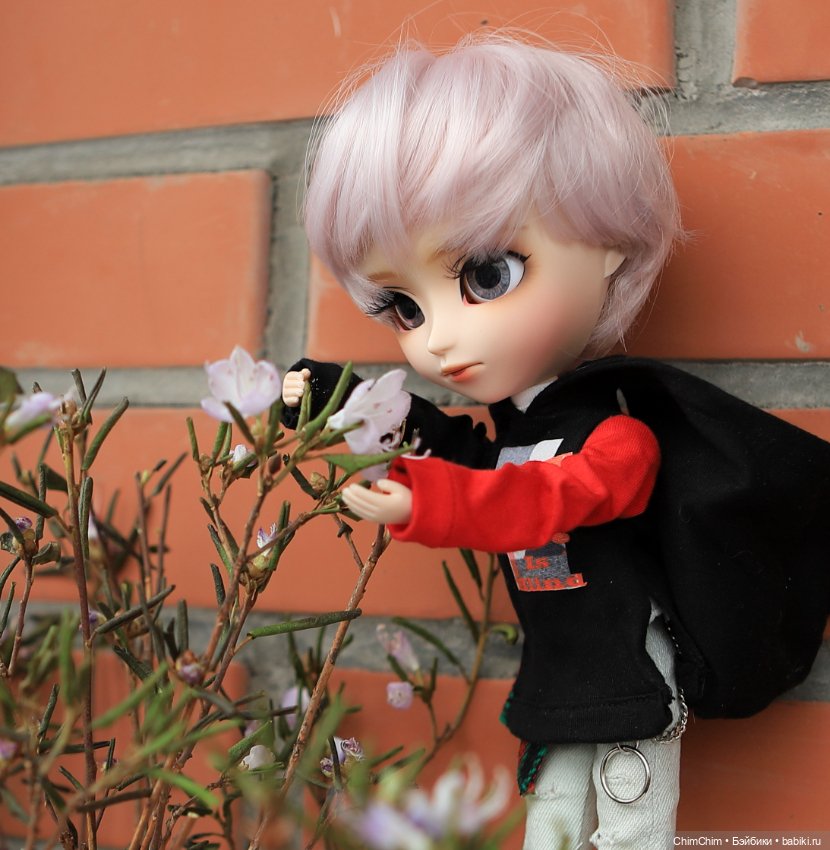 Моя первая кукла Pullip — Куклы Pullip (Пуллип) (фото 2)