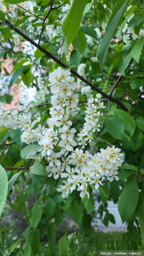 Леонор на прогулке — Куклы Only Hearts Club (Хартсинки): мягконабивные