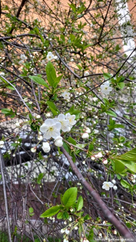 Леонор на прогулке — Куклы Only Hearts Club (Хартсинки): мягконабивные