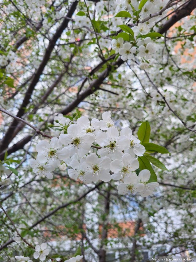 Леонор на прогулке — Куклы Only Hearts Club (Хартсинки): мягконабивные