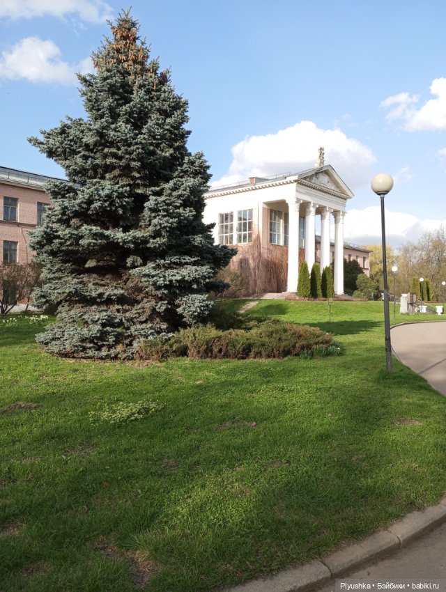 Камелия гуляет — Игровые куклы разных производителей (Разное): редкие бренды (фото 5)