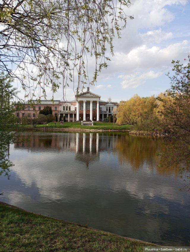 Камелия гуляет — Игровые куклы разных производителей (Разное): редкие бренды (фото 8)