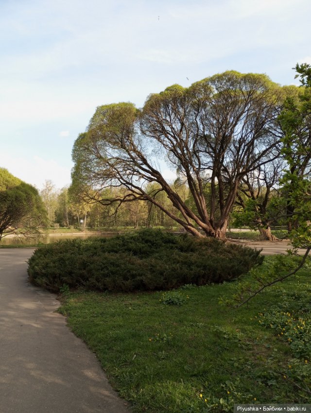 Камелия гуляет — Игровые куклы разных производителей (Разное): редкие бренды (фото 2)