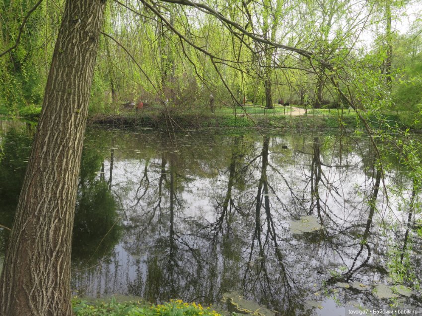Аптекарский огород в апреле (фото 4)