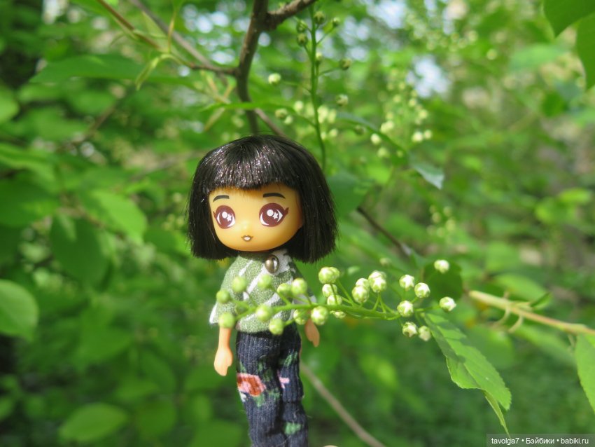 Аптекарский огород в апреле (фото 2)