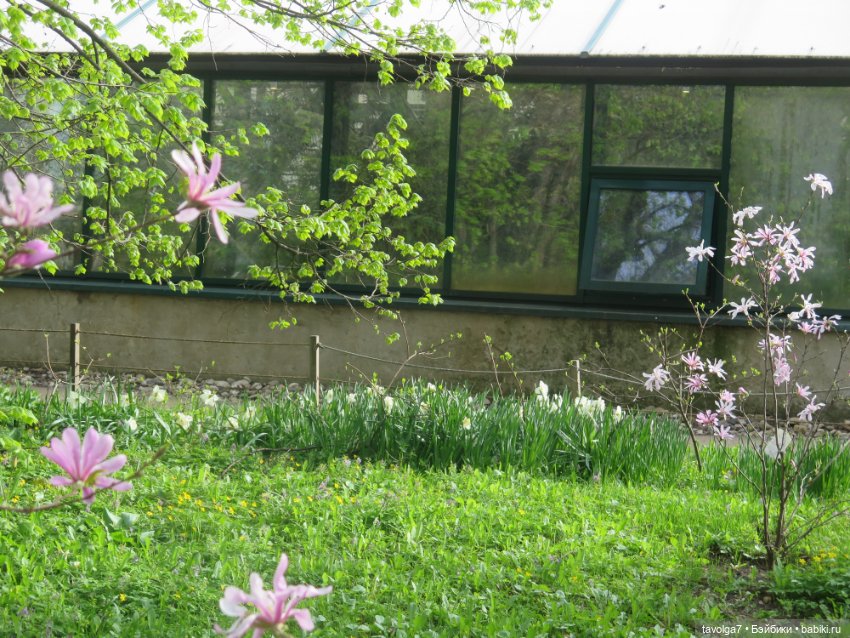 Аптекарский огород в апреле