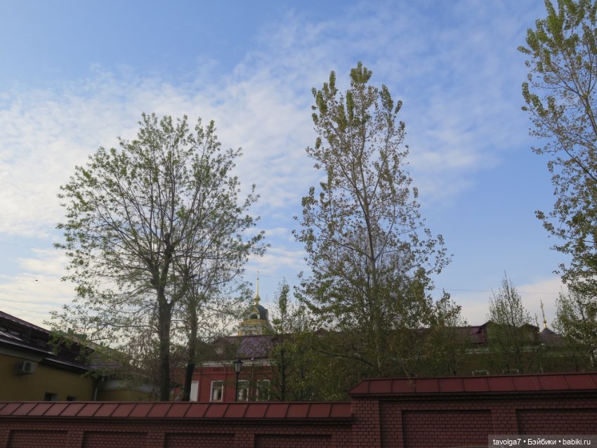 Аптекарский огород в апреле