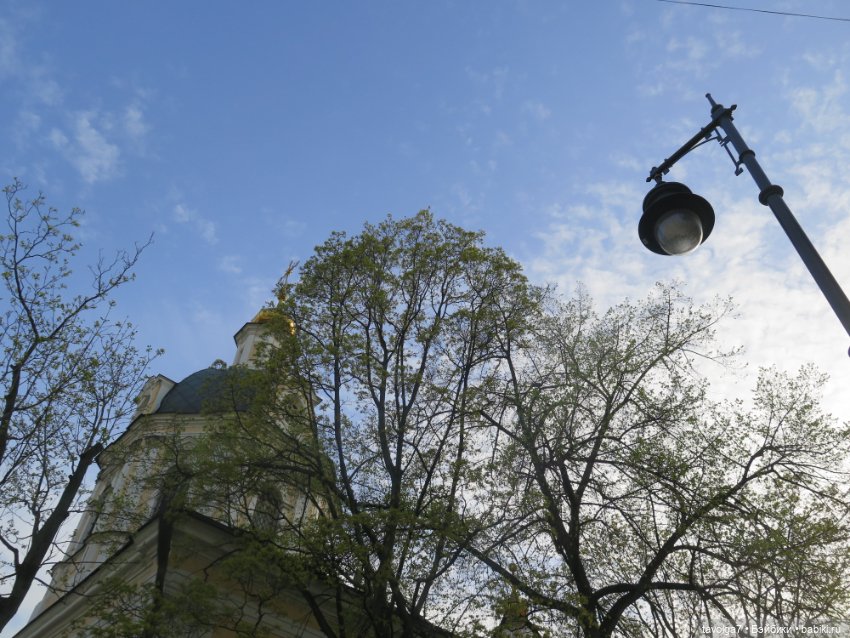 Аптекарский огород в апреле