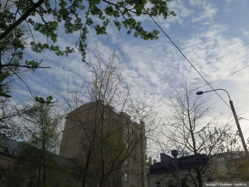 Аптекарский огород в апреле