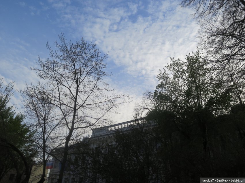 Аптекарский огород в апреле