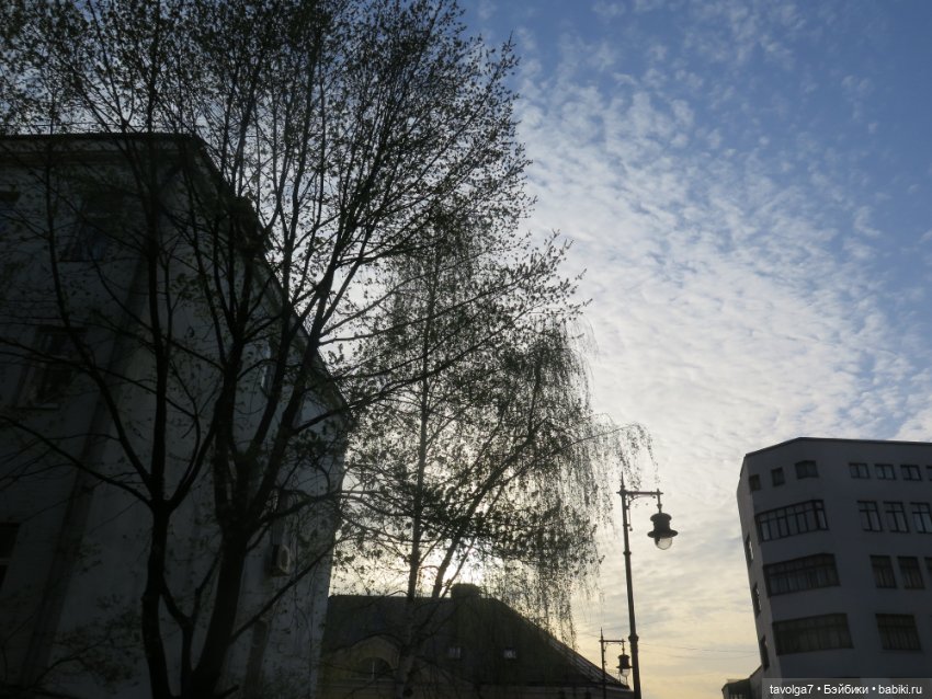 Аптекарский огород в апреле