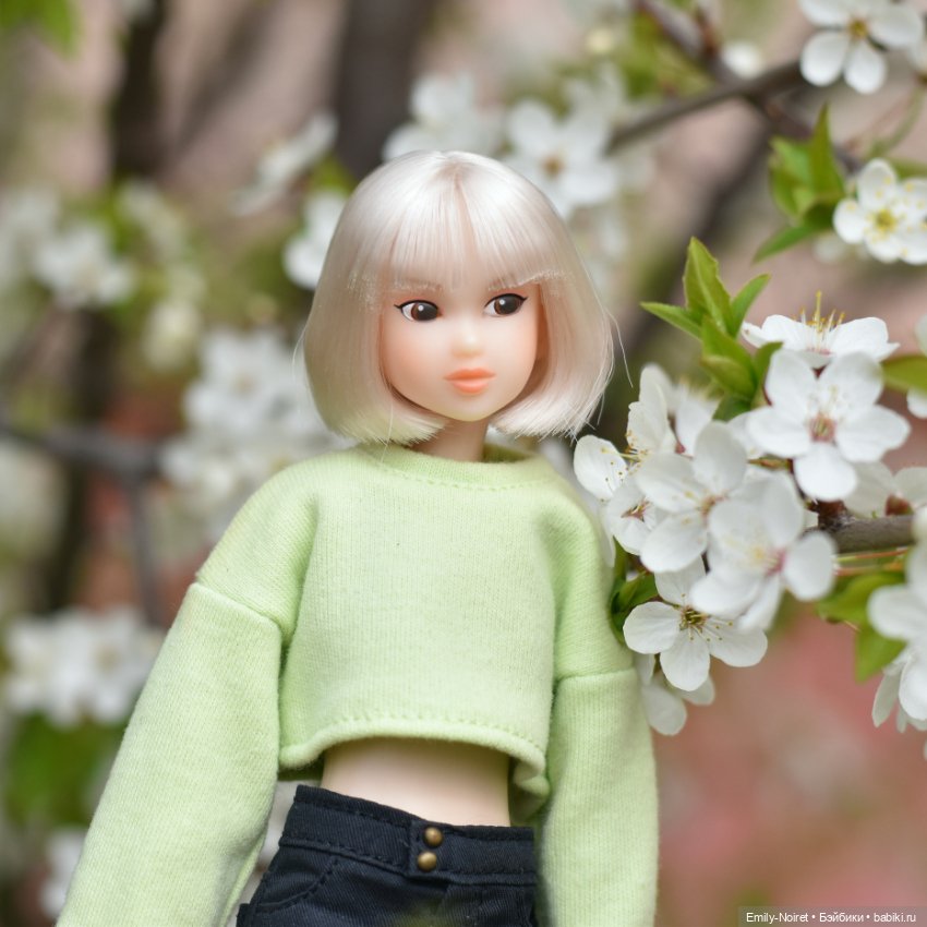 Вишни и милые японочки — Домашние коллекции кукол: фото собраний (фото 5)