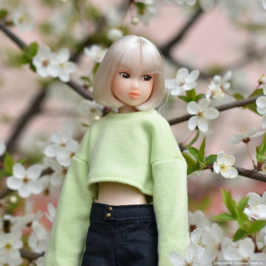 Вишни и милые японочки — Домашние коллекции кукол: фото собраний (фото 6)