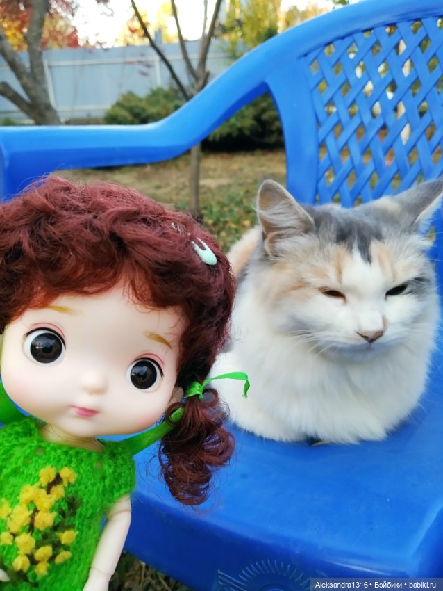 Осенние глазастики😳 — Куклы Baboliy (Баболи