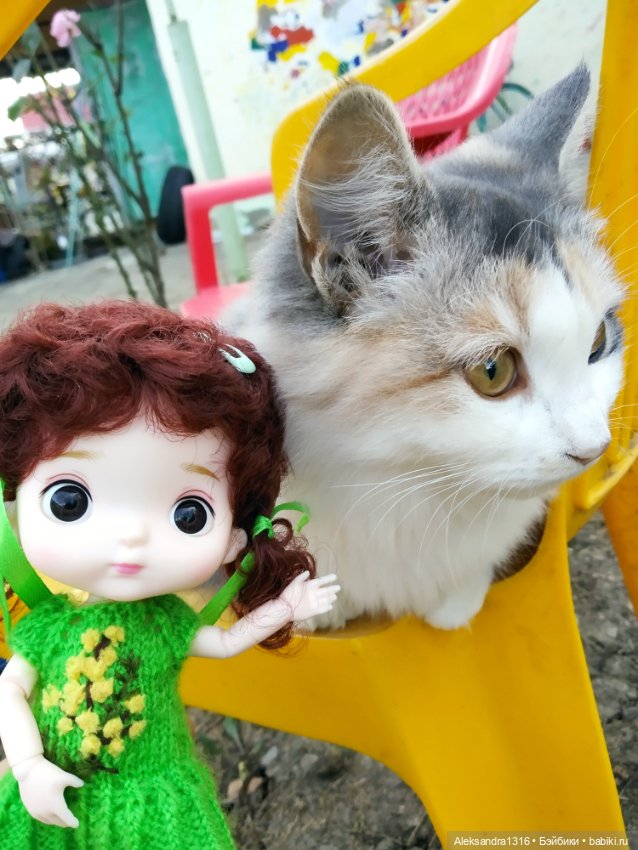 Осенние глазастики😳 — Куклы Baboliy (Баболи