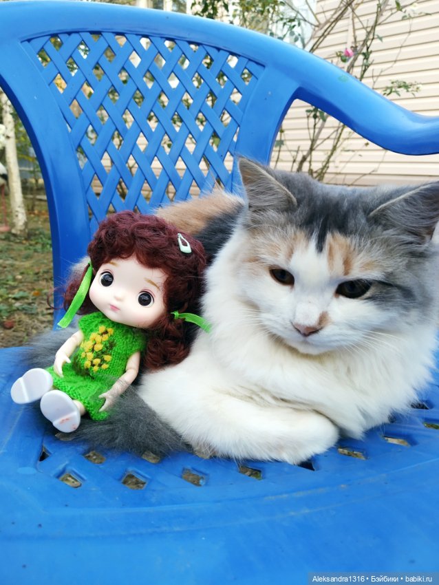 Осенние глазастики😳 — Куклы Baboliy (Баболи