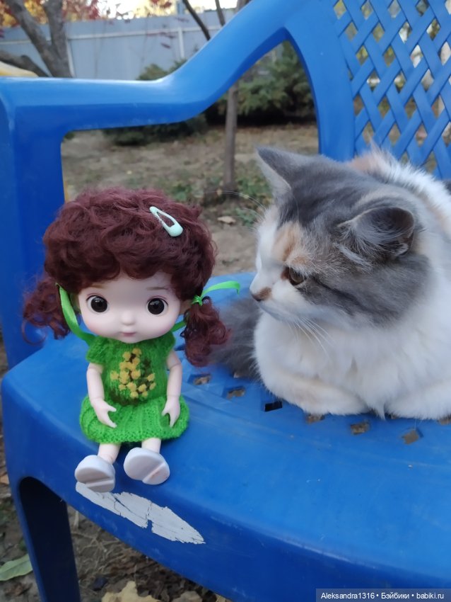 Осенние глазастики😳 — Куклы Baboliy (Баболи