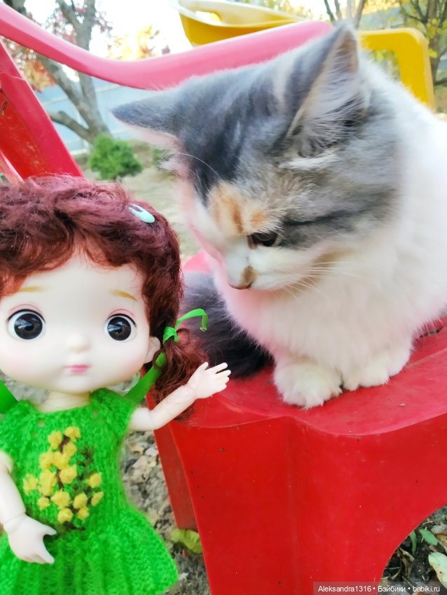 Осенние глазастики😳 — Куклы Baboliy (Баболи