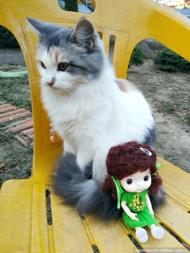 Осенние глазастики😳 — Куклы Baboliy (Баболи