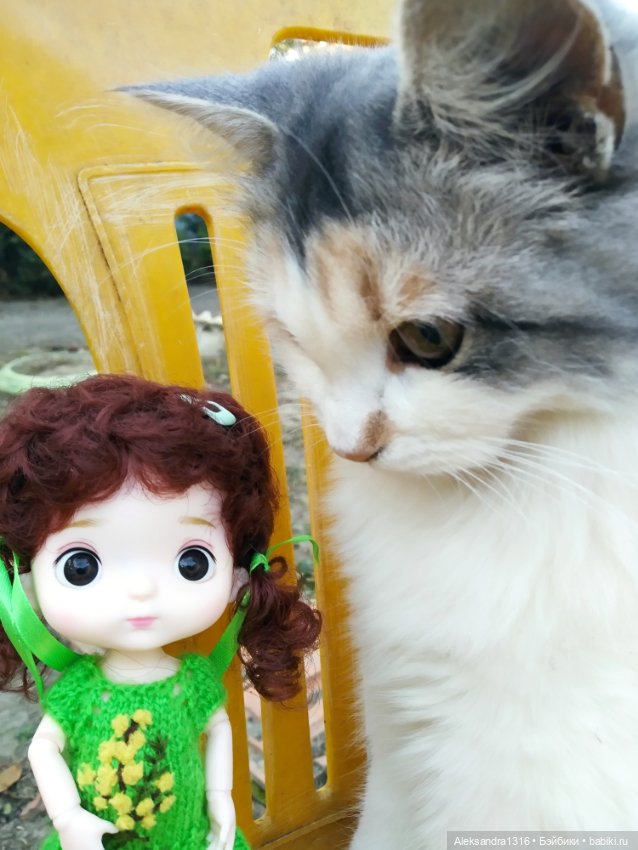 Осенние глазастики😳 — Куклы Baboliy (Баболи