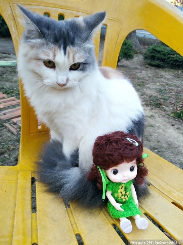 Осенние глазастики😳 — Куклы Baboliy (Баболи