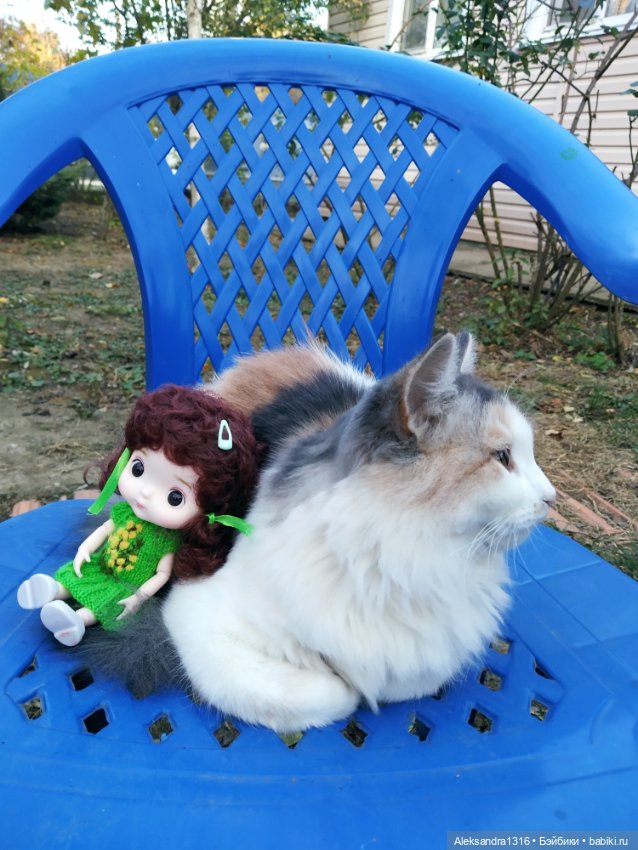 Осенние глазастики😳 — Куклы Baboliy (Баболи