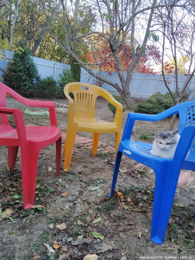 Осенние глазастики😳 — Куклы Baboliy (Баболи