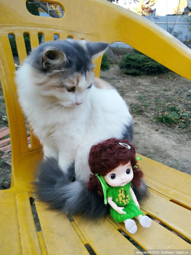 Осенние глазастики😳 — Куклы Baboliy (Баболи