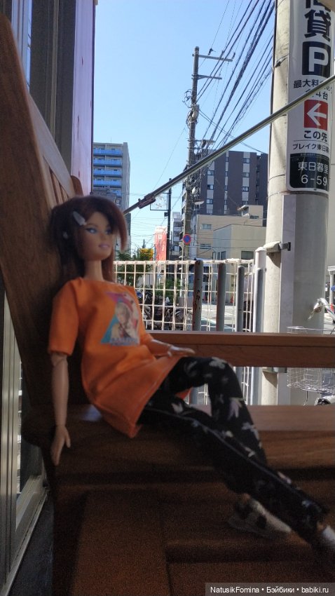 Японское лето' 2023 (за неимением отпуска весной' 2024) (фото 2)