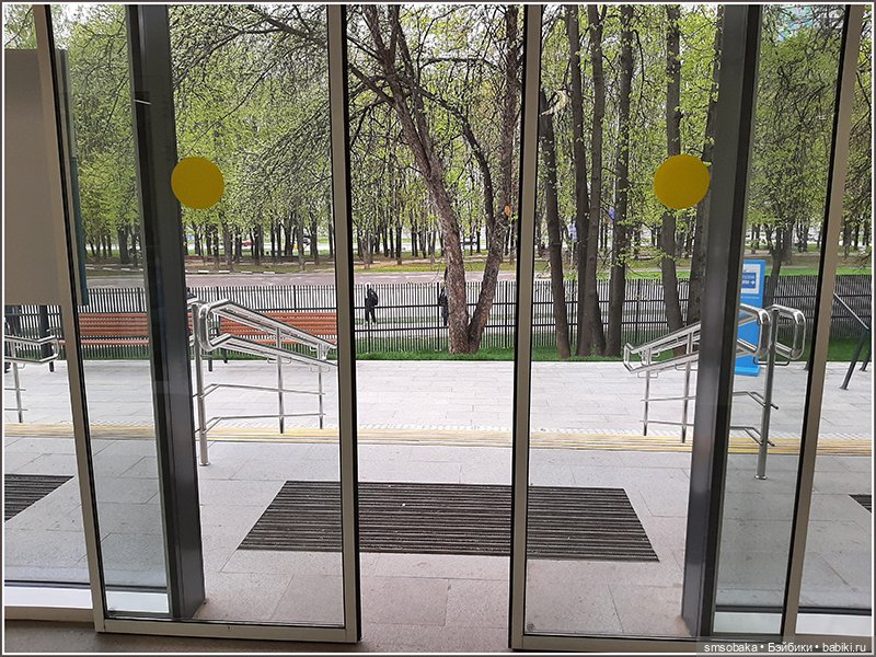 Как Мирослава в поликлинику ходила. Ещё маленький кусочек Москвы