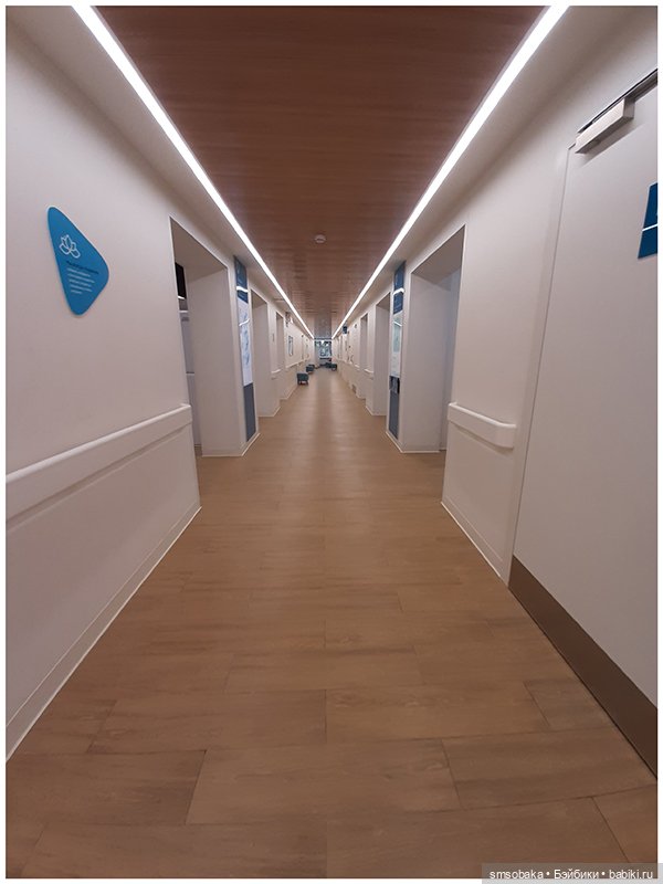 Как Мирослава в поликлинику ходила. Ещё маленький кусочек Москвы