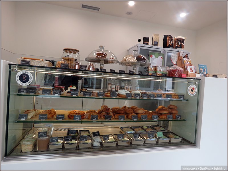 Как Мирослава в поликлинику ходила. Ещё маленький кусочек Москвы