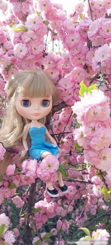 Красота неописуемая — Куклы Blythe TBL (ТБЛ) и аналоги: Блюх