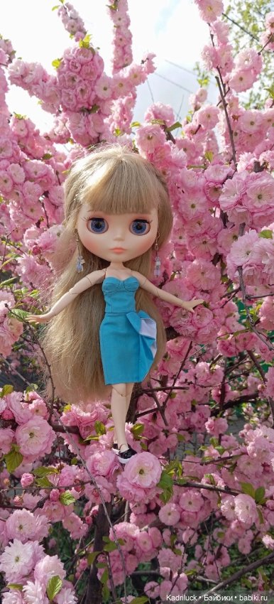 Красота неописуемая — Куклы Blythe TBL (ТБЛ) и аналоги: Блюх (фото 3)