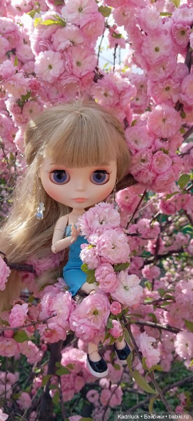 Красота неописуемая — Куклы Blythe TBL (ТБЛ) и аналоги: Блюх (фото 2)