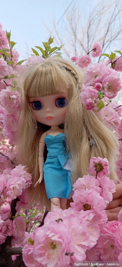 Красота неописуемая — Куклы Blythe TBL (ТБЛ) и аналоги: Блюх (фото 4)