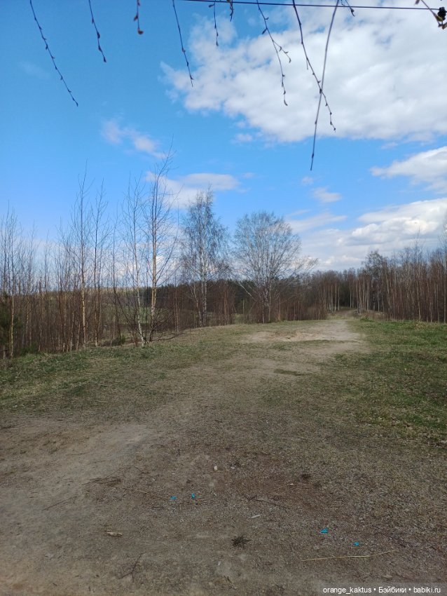 Первая прогулка Юли — Аналоги Барби и куклы 1/6: клоны 90 (фото 4)