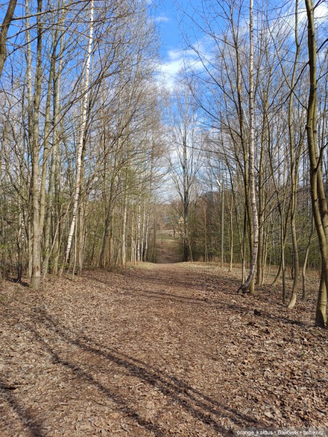 Первая прогулка Юли — Аналоги Барби и куклы 1/6: клоны 90