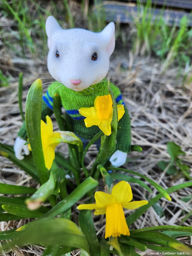 Два дня из жизни мыши — Разные шарнирные куклы (не БЖД): редкие